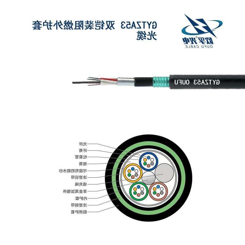 沙坪坝区GYTZA53光缆